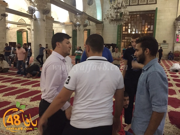 yaffa rebatt3 (5).jpg